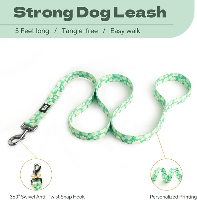 QQPETS Dog Harness Leash Set Adjustable Heavy Duty No Pull Halter Harnesses for Small Medium Large Breed Dogs Back Clip Anti-Twist Perfect for Walking