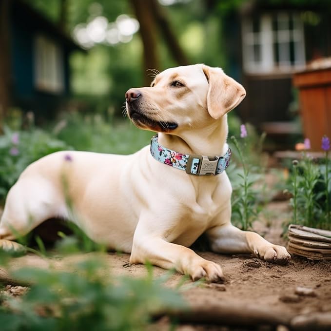 Personalized Dog Collar with Name and Phone Number Engraved,Adjustable Custom Puppy Collar,Organic Cotton Pet Collar for Small Medium Large Boy Girl Dogs
