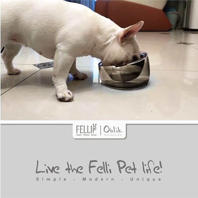 Felli Pet Oblik Spill Proof Dog Food Water Bowl Raised Acrylic Cone, Stainless Steel Tilted Oval Dish Pet Friendly, Slanted Metal Plate Feeder Elevated for Small Medium Size Dog (1.5Cup, Smoky)