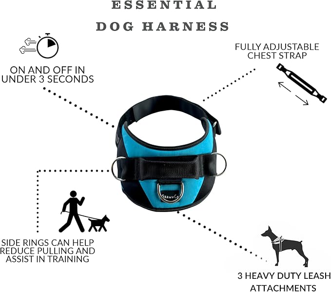 ShawnCo Essential Dog Harness, No-Pull Pet Vest with 3 Leash Clips, No Choke, Reflective, Adjustable and Padded, for Easy Walking and Training for Small, Medium and Large Dogs (White Sharks, XS)