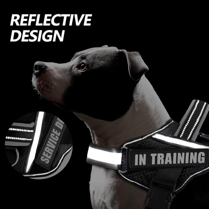 Dog Vest Harness and Patches Set, Animire in Training Service Dog Harness with 10 Dog Patches, Reflective Dog Vest with Handle for Small, Medium, Large, and Extra-Large Dogs