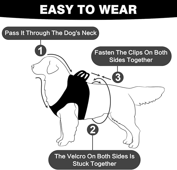 Dog Harness and Leash Set, No Pull Mesh Puppy Harness for Small Medium Sized Dogs, Pet Vest for Walking Running Training, Double D-Rings Reflective Strip