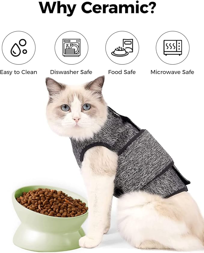 LoeJan Elevated Cat Food Bowl, 5 Oz Ceramic Raised and Tilted Water Bowl, Anti Vomiting and Protect Pets' Spines Dishes for Small Dog, Fat Faced Cat, Kitten (Green, 1 Pack)