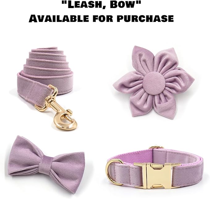 Velvet Personalized Dog Collar with Name - Customizable Dog Collar with Quick Release Metal Buckle - Leash and Bow Tie Available (Thistle, M)