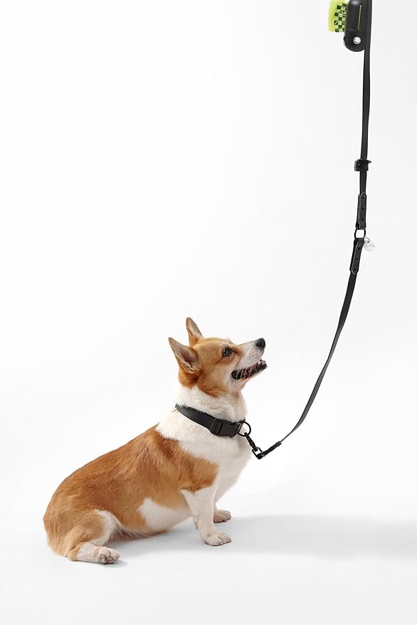 WLK1005I-5SET Luna Medium 8FT Adjustable 6-in-1 Waterproof Hands-Free Leash and Collar with LED Flashlight, Bag Dispenser, and Poop Bag Holder, Bitters