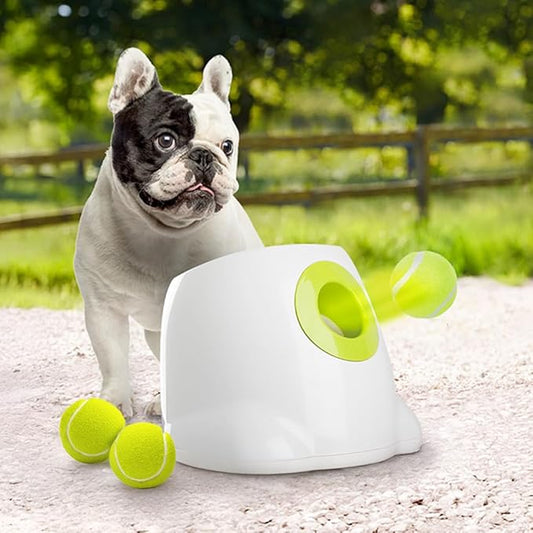ALL FOR PAWS Original Dog Automatic Ball Launcher for Small and Medium Dogs, Interactive Dog Tennis Ball Throwing Machine, Enrichment Mental Stimulation Toys, Reduce Boredom & Stress