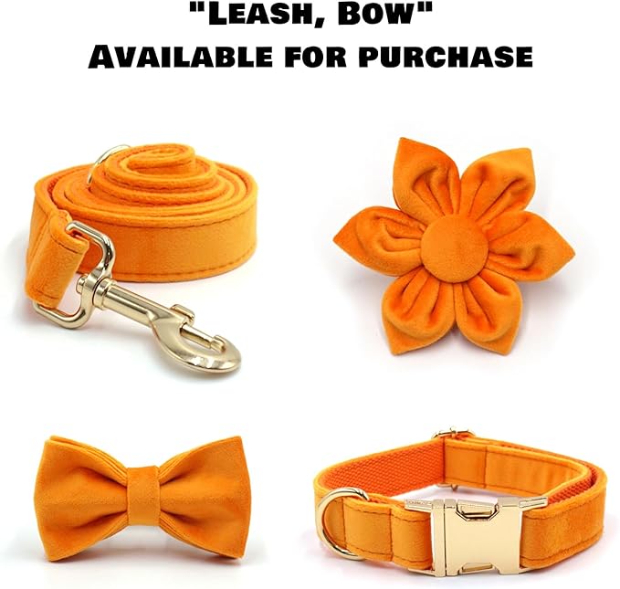 Velvet Personalized Dog Collar with Name - Customizable Dog Collar with Quick Release Metal Buckle - Leash and Bow Tie Available (Orange, XS)