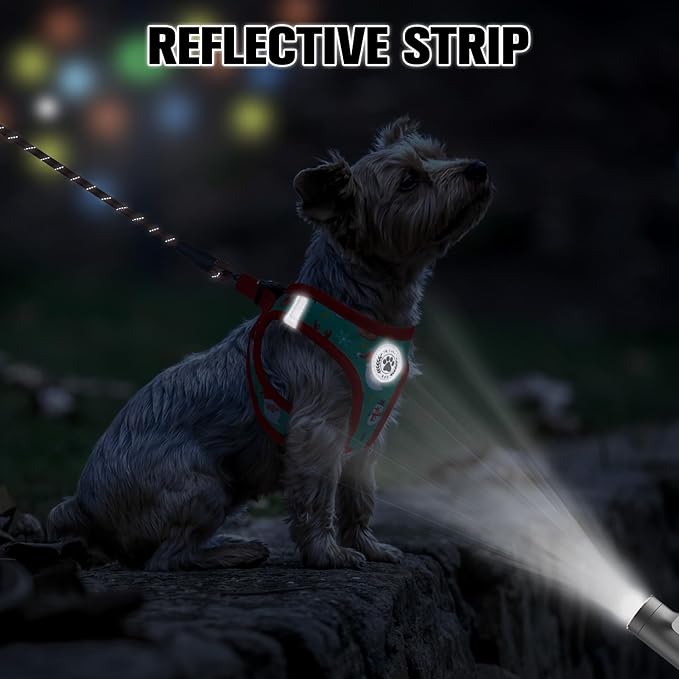 BEAUTYZOO Step in Dog Harness and Leash Set,Reflective Dog Harness No Pull No Choke Puppy Harness for Small Medium Large Dogs Cats,Soft Padded Mesh Vest Harnesses for Girl and Boy Pets,Christmas M