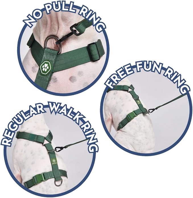 Spark Paws No Pull Dog Harness for Large Dogs, Heavy Duty Dog Harness for Big Strong Breeds, Adjustable, Y Shaped Padded Halter Design with Front Clip - Solid Green – S