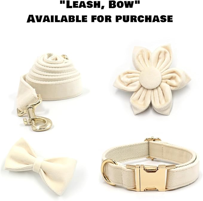 Velvet Personalized Dog Collar with Name - Customizable Dog Collar with Quick Release Metal Buckle - Leash and Bow Tie Available (Off-White, XS)