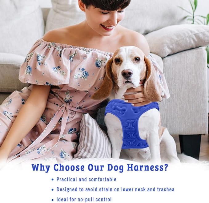 Comfort Fit All Weather Dog Harness No Pull Soft Padded Extra Comfort Step in Dog Harness with Adjustable Buckles Easy Control Vest Harness for Small Medium Large Dogs Inside Velvet Plush