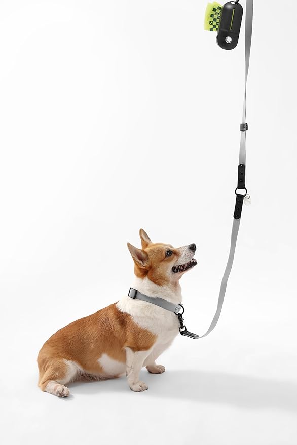 WLK1005N-5SET Luna Medium 8FT Adjustable 6-in-1 Waterproof Hands-Free Leash and Collar with LED Flashlight, Bag Dispenser, and Poop Bag Holder, Martini