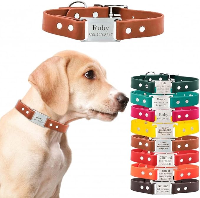 dogIDs Personalized Dog Collar – ScruffTag Custom Waterproof Biothane Dog Collar with Laser-Engraved Name, Durable & Odor-Resistant – USA Made | Terracotta, 1 in x 22 in (Fits Neck Sizes 20-24 in)