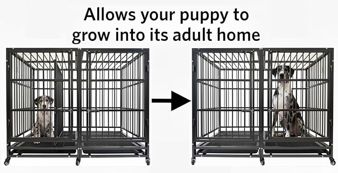 54 Inch Heavy Duty Dog Crate Cage with Divider, Indestructible and Escape Proof Steel Kennel Indoor for 2 High Anxiety Dogs with Sturdy Locks, Double Door and Tray, Extra Large XL XXL