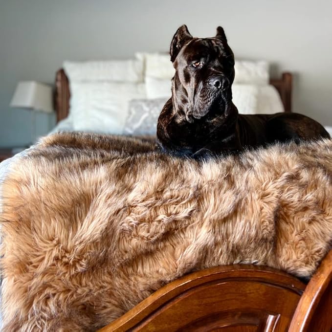 PAW BRANDS PupProtector Waterproof Throw Blanket for Dogs and Cats, Pet Blanket Cover for Couches, Sofas, Beds, Car Seats, Furniture, Calming Soft Faux Fur, Sable Brown, Original (60" L x 50" W)