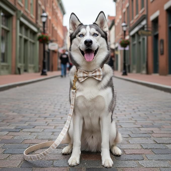 PETDURO Personalized Dog Collar Light Brown Plaid for Large Medium Dogs | Engraved Name and Phone Number on Gold Metal Buckle for Boys & Girls | Add Leash & Bow Tie via Customize Now