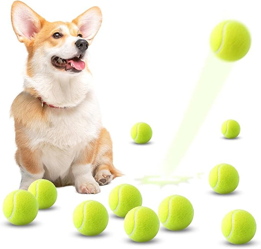 10 Pack 2-Inch Small Tennis Balls for Dogs, Interactive Fetch Toys for Indoor & Outdoor Play, Chew-Resistant Pet Training Balls(Not Compatible with The New Ball-Throwing Machine)