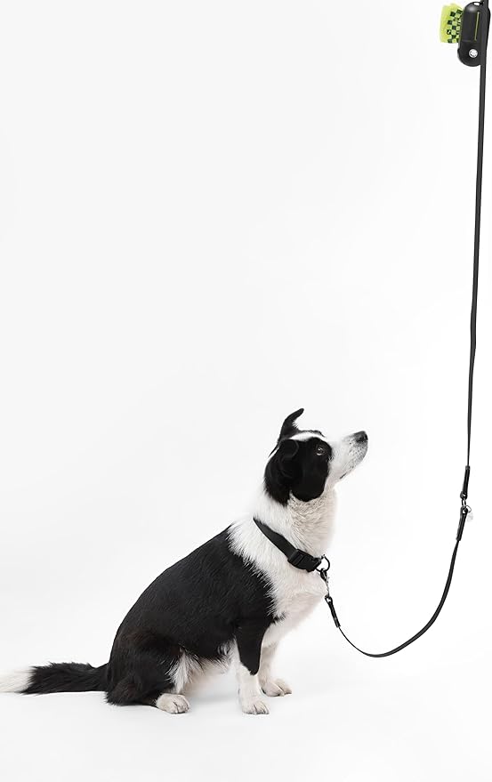 WLK1006I-5SET Luna Large 8FT Adjustable 6-in-1 Waterproof Hands-Free Leash and Collar with LED Flashlight, Bag Dispenser, and Poop Bag Holder, Bitters