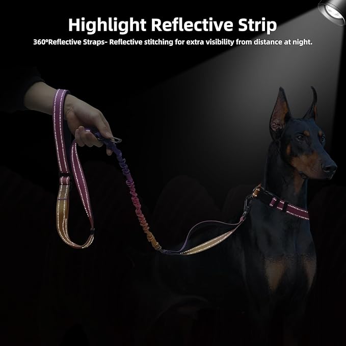 Roses&Poetry Hands Free Dog Leash for Medium Large Dogs Heavy Duty, No Pull Bungee Dog Running Waist Leash for Walking Training with Car Seatbelt 4-6FT