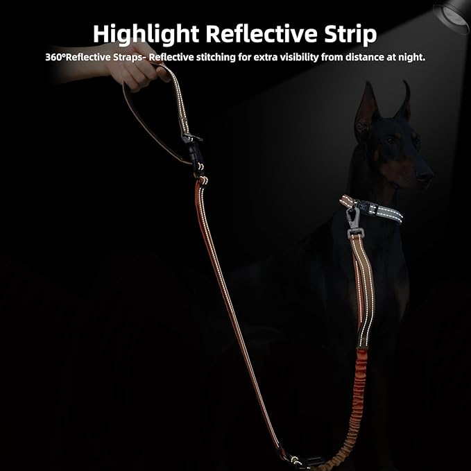 Roses&Poetry Hands Free Dog Leash for Medium Large Dogs Heavy Duty, No Pull Bungee Dog Running Waist Leash for Walking Training with Car Seatbelt 4-6FT