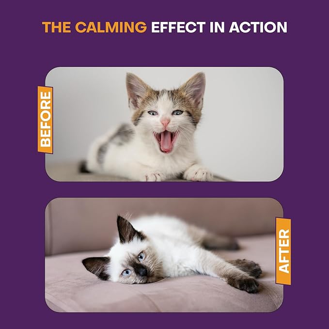 Cat Calming Diffuser 5 Pack Includes 2 Diffusers Machines & 3 Refills Pheromone Plug-In for Cats Reduce Anxiety Aggression Stress Scratching & Spraying Long Lasting Calming Diffuser Kit for All Cats