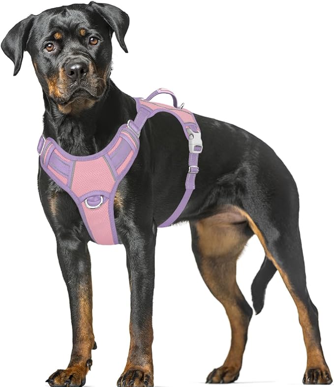 BARKBAY No Pull Dog Harness Large Reflective Dog Harness with Front Clip and Easy Control Handle for Walking Training Running with ID tag Pocket(Baby Pink & Violet Purple,XL)
