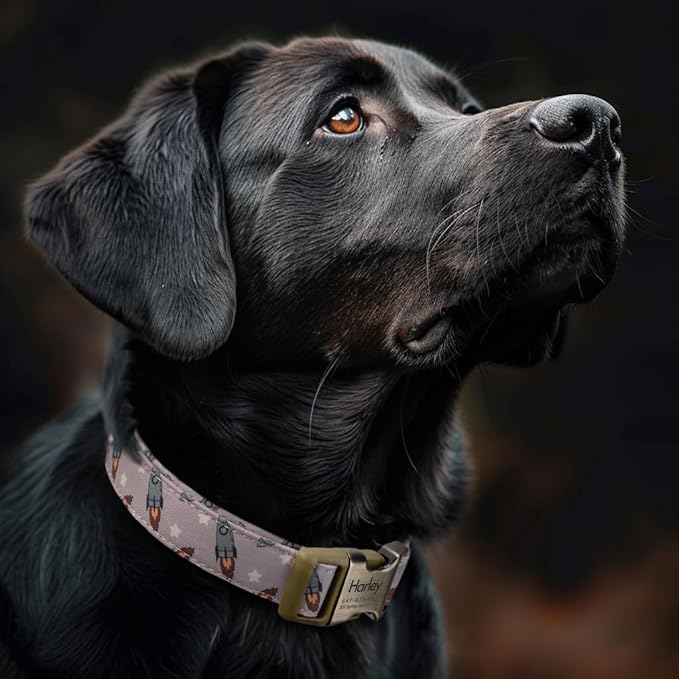 Personalized Dog Collar with Name and Phone Number Engraved,Adjustable Custom Puppy Collar,Organic Cotton Pet Collar for Small Medium Large Boy Girl Dogs