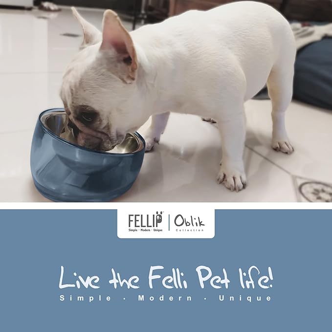 Felli Oblik Raised Dog Food Water Bowls for Small Short-Leg Dogs, Removable Stainless Steel Dish Dishwasher Safe, No Spill Tilted Metal Feeder for French Bulldog, Maine Coon Cats (1.5Cup, Shadow)