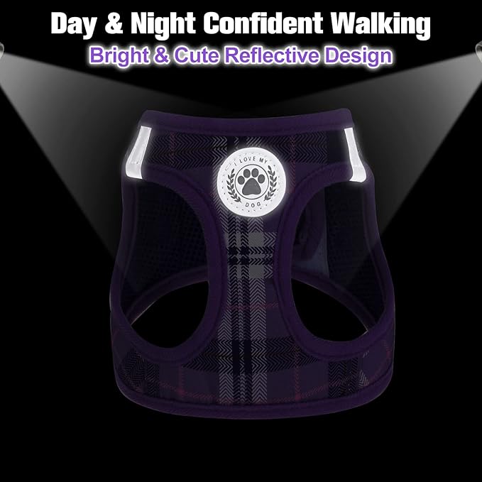 BEAUTYZOO Small Dog Harness and Leash Set, Step in No Choke No Pull Soft Mesh Dog Harnesses Reflective for Extra-Small/Small Medium Puppy Dogs and Cats, Plaid Dog Vest Harness for XS S Pets, Purple M