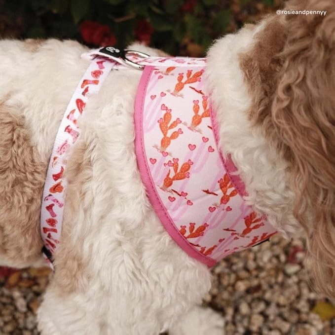 Lucy & Co. Little Lamb Dog Collar - Durable Lightweight Designer Collar for Pets - Adjustable Metal Safety Buckle - Yellow Floral - Small