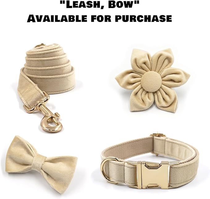 Velvet Personalized Dog Collar with Name - Customizable Dog Collar with Quick Release Metal Buckle - Leash and Bow Tie Available (Beige, L)