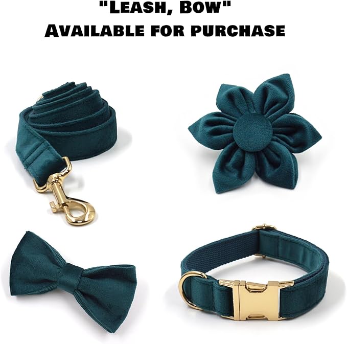 Velvet Personalized Dog Collar with Name - Customizable Dog Collar with Quick Release Metal Buckle - Leash and Bow Tie Available (Teal, L)