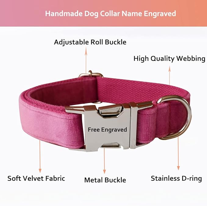 Custom Dog Collar with Metal Buckle - Pet Collars Personalized with Name and Phone Number (Velvet Style2)