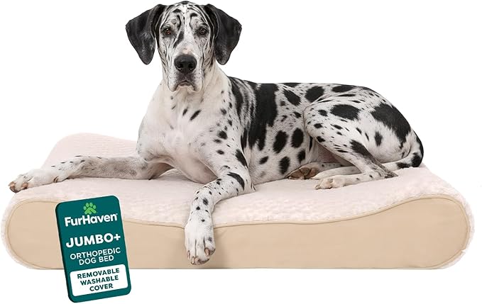 FurHaven Orthopedic Dog Bed for Large Dogs, Luxe Lounger Contour Mattress with Solid Orthopedic Foam Slab for Joint Support, Removable Washable Cover - Jumbo Plus XXL, Plush Suede, Cream