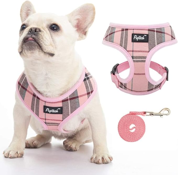 PUPTECK Soft Mesh Dog Harness and Leash Set Pet Puppy Cat Comfort Padded Vest No Pull Harnesses, Old Pink, XXS