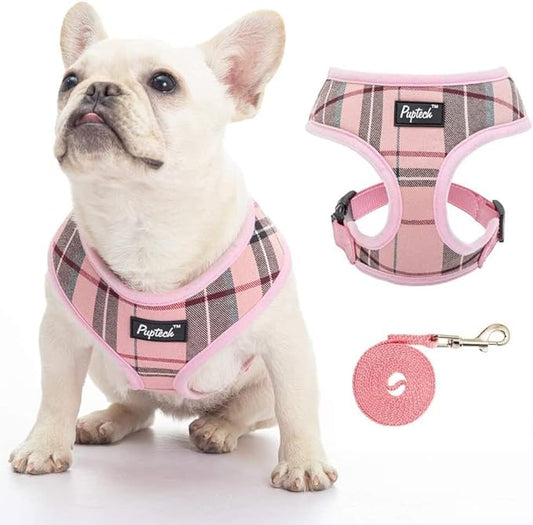 PUPTECK Soft Mesh Dog Harness and Leash Set Pet Puppy Cat Comfort Padded Vest No Pull Harnesses, Old Pink, XXS