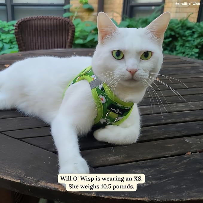 Lucy & Co. How I Roll Step-in Cat Harness & Leash Bundle – Reflective, Breathable & Adjustable Harness for Cats, Kittens & Small Dogs, Lightweight & Secure and Dual Leash Clips – Large