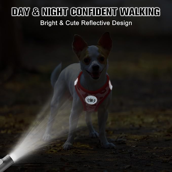 BEAUTYZOO Step in Dog Harness and Leash Set,Reflective Dog Harness No Pull No Choke Puppy Harness for Small Medium Large Dogs Cats,Soft Padded Mesh Vest Harnesses for Girl and Boy,Valentine's Day M