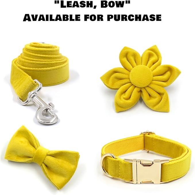 Velvet Personalized Dog Collar with Name - Customizable Dog Collar with Quick Release Metal Buckle - Leash and Bow Tie Available (Lemon, XS)