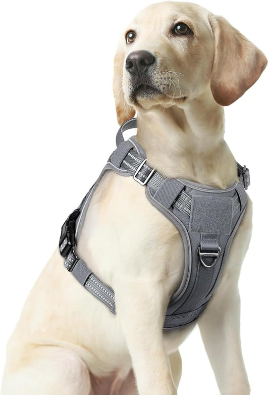 rabbitgoo Dog Harness Medium Sized No Pull, Tactical Service Pet Vest with Molle and Control Handle, Adjustable and Reflective Military Harness for Easy Walking and Training, Grey, M