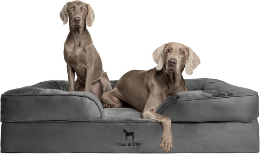 NOAH & PAW Giant Dog Bed XXL, 55x45x11 Inch, Orthopedic Dog Beds, Eggshell Memory Foam Infused with Cooling Gel, Inner Cover, Waterproof, Machine Washable (Velvet Sofa Collection)