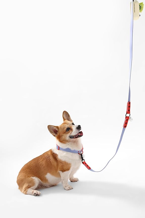 WLK1005E-5SET Luna Medium 8FT Adjustable 6-in-1 Waterproof Hands-Free Leash and Collar with LED Flashlight, Bag Dispenser, and Poop Bag Holder, Sangria