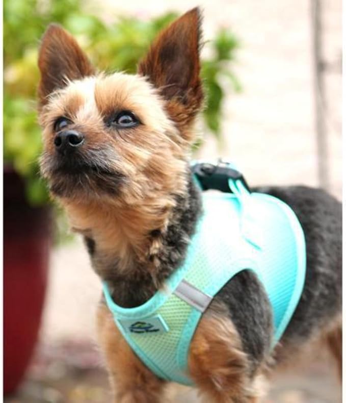 American River Dog Harness Ombre Collection (XS, Aruba Blue)