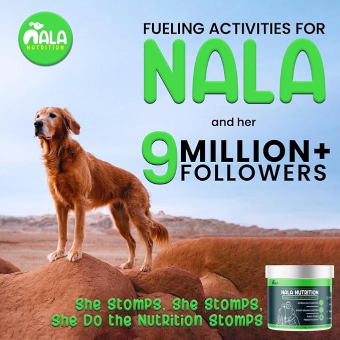 Advanced Probiotics for Dogs | Dog Probiotic for Digestive Health | Gut Supplement & Dog Probiotics | 45 Scoops