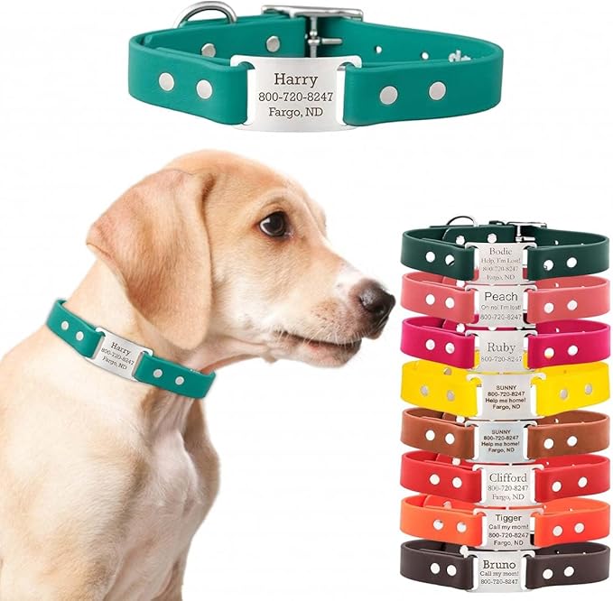 DogIDs ScruffTag Personalized Waterproof Dog Collar, Made in USA - Soft Grip Biothane, Adjustable, Odor Resistant, Custom Laser Engraved Name Plate - Teal, 3/4 in x 14 in (Fits Neck Sizes 12-16 in)