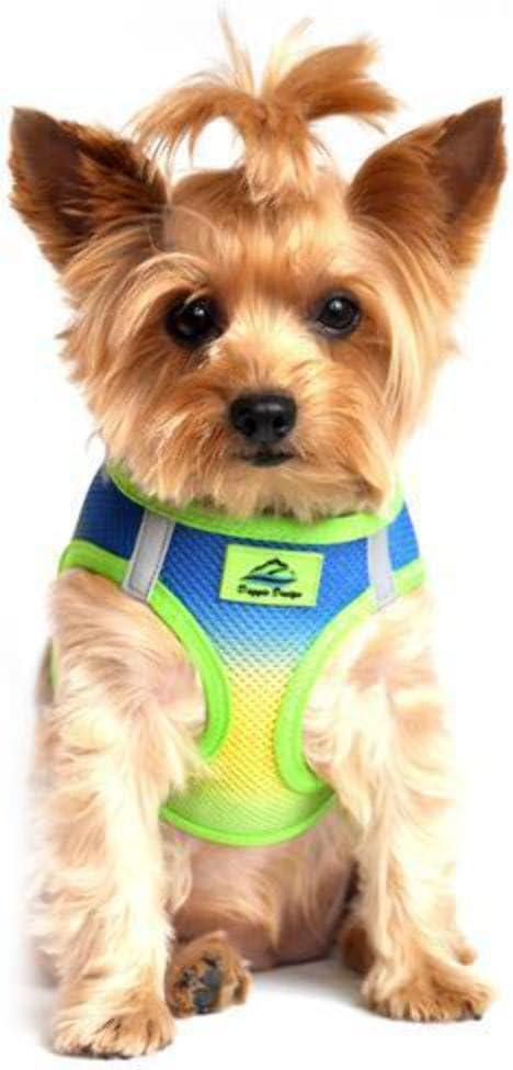 DOGGIE DESIGN American River Dog Harness Ombre Collection - Cobalt Sport XXS