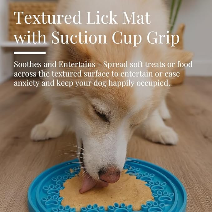 Slow Feeder Dog Bowl with Premium Lick Mat Lid | Stainless Steel Dog Bowls | Removable Slow Feeder Insert | Heavy-Duty, Non-Slip & Durable | 64 oz | Medium to Large Dogs (Eli Blue)