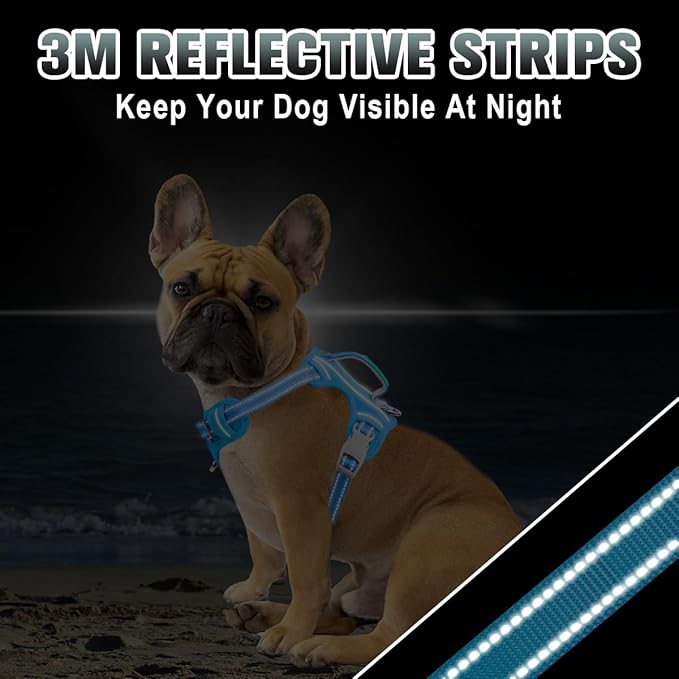 BARKBAY No Pull Dog Harness Large Reflective Dog Harness with Front Clip and Easy Control Handle for Walking Training Running with ID tag Pocket(Blue,XS)