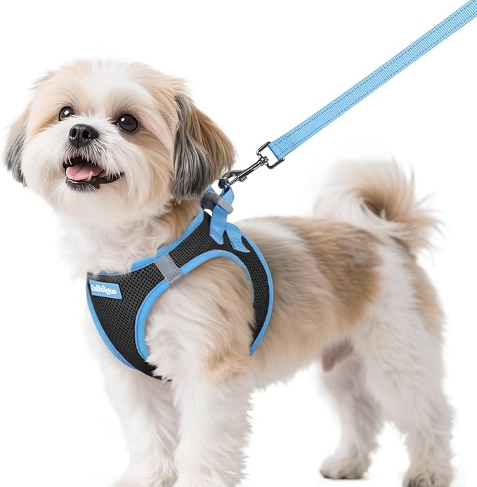 rabbitgoo Dog Harness Small Sized and Leash Set, Step-in Breathable Pet Harness, Soft Walking Reflective Puppy Vest for Small Dogs, Black & Light Blue, S