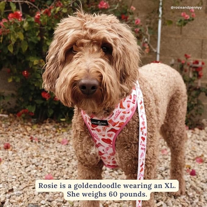 Lucy & Co. Little Lamb Dog Collar - Durable Lightweight Designer Collar for Pets - Adjustable Metal Safety Buckle - Yellow Floral - Small